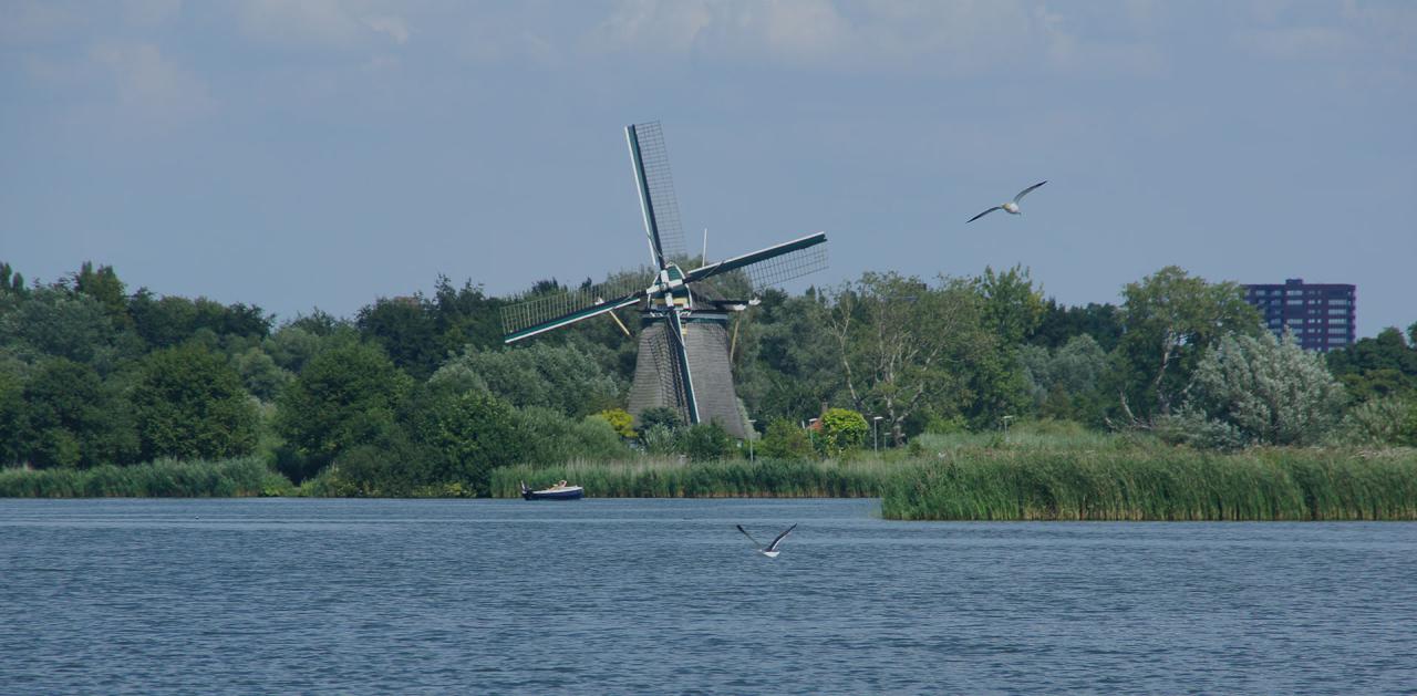 varen op de rotte